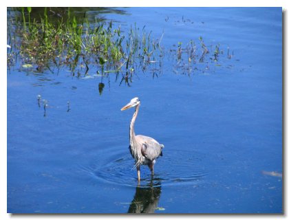 Florida 2006 (28)